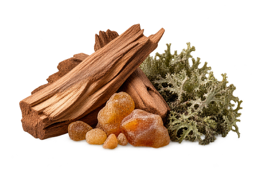 Base — Cedar, woody notes, oakmoss, benzoin — Terre d’Hermès Parfum