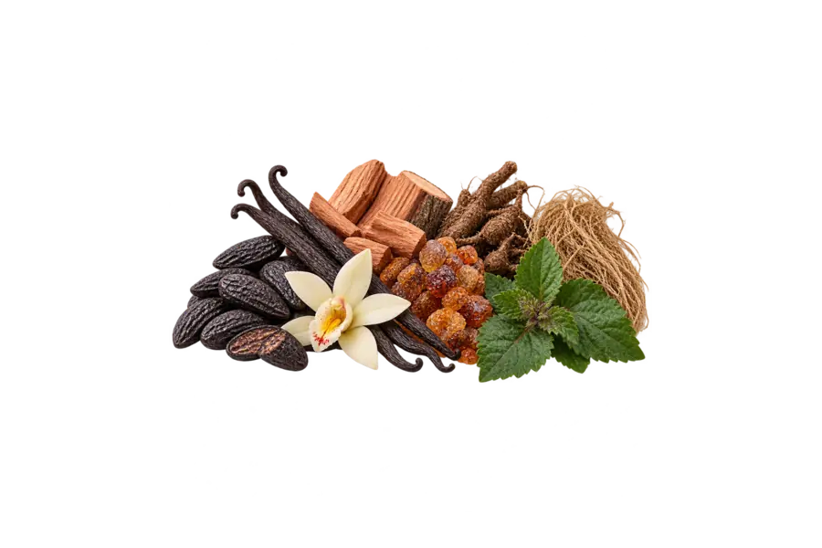 Base — tonka bean, vanilla, cedar, labdanum, cypriol, vetiver, patchouli — Amouage Elsewhere