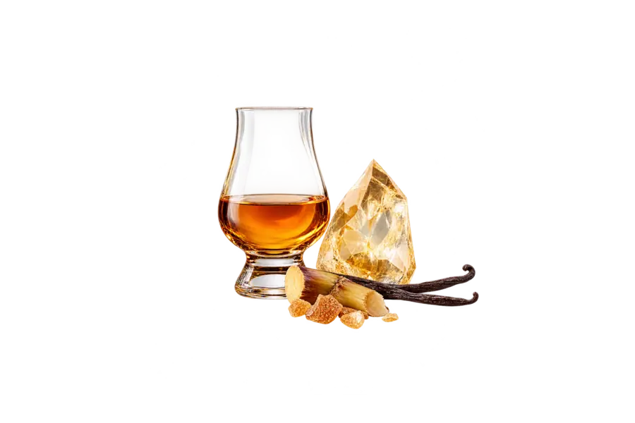 Top — rum accord, Paradisone — Bottega Veneta Ricordami