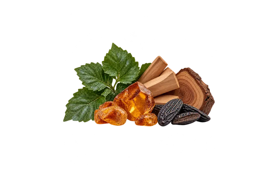 Base — shimmering patchouli, amber embrace accord, sandalwood, cedarwood, tonka bean — Estée Lauder Glimmer