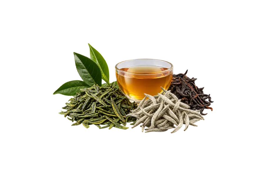 Base — tea accord — Louis Vuitton Tea Storm