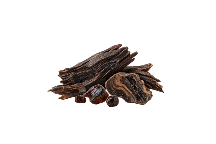 Base — oud wood — Maison Francis Kurkdjian Oud Velvet Mood Extrait