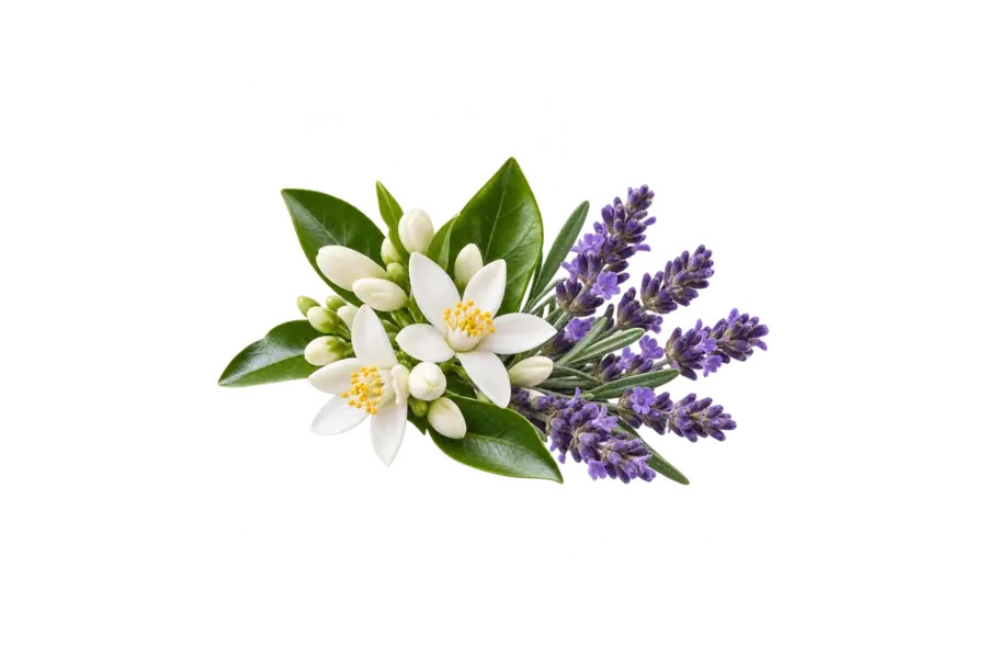 Heart — orange blossom, lavender — YSL Libre Berry Crush