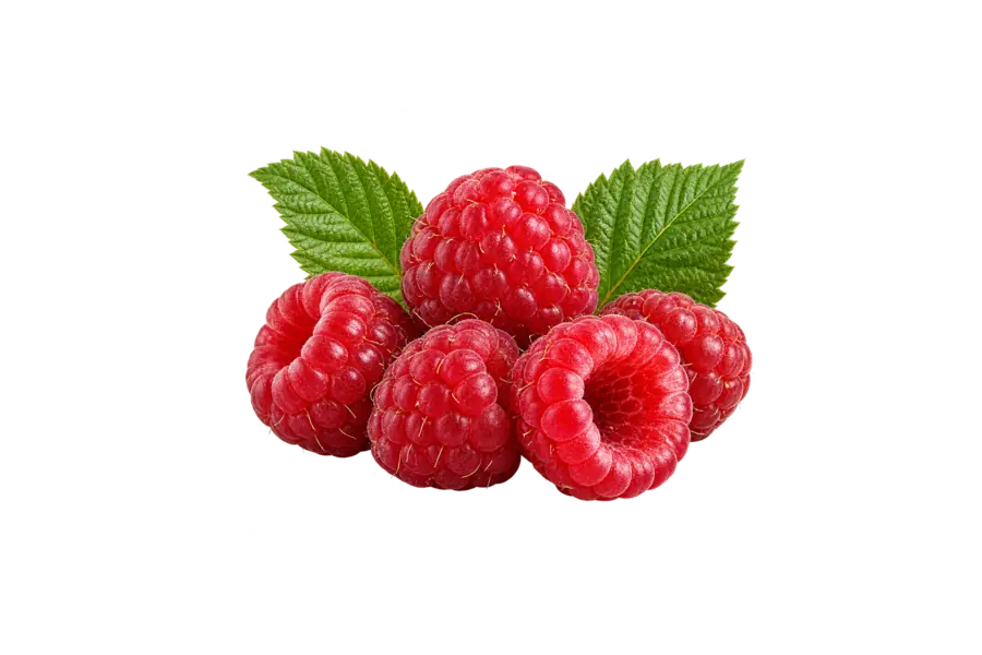 Top — raspberry — YSL Libre Berry Crush